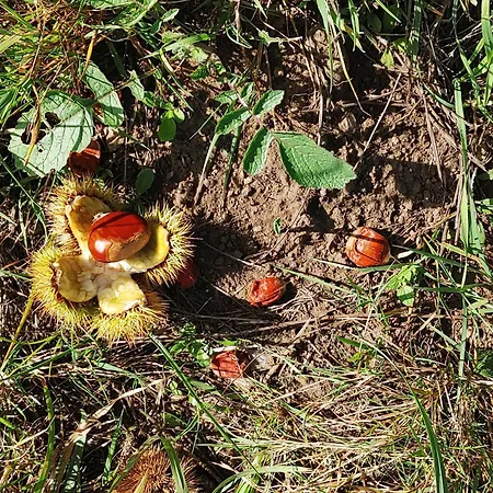 Lejlighed Casina Da Eira 5 Rutas, Adaptada *
