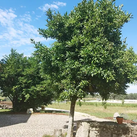 Casina Da Eira 5 Rutas, Adaptada