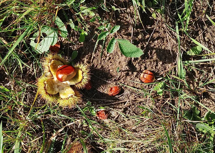 Διαμέρισμα Casina Da Eira 5 Rutas, Adaptada *